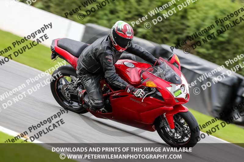 PJ Motorsport 2019;donington no limits trackday;donington park photographs;donington trackday photographs;no limits trackdays;peter wileman photography;trackday digital images;trackday photos